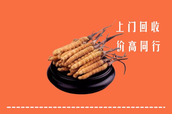 高价求购：榆中县回收散虫草