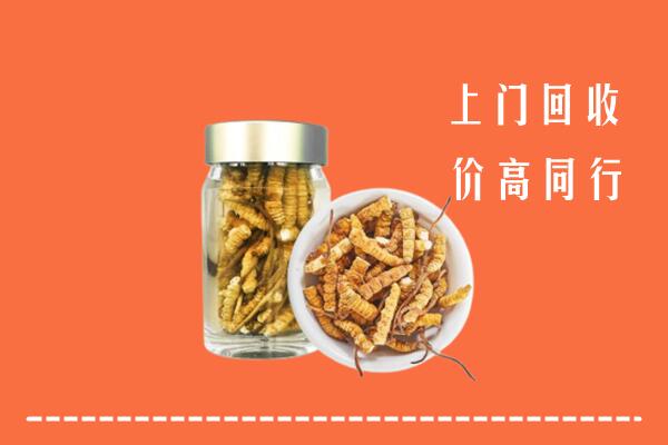榆中县回收冬虫夏草